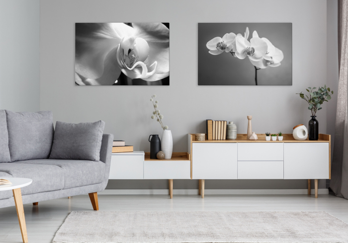 Schwarz-Weiß-Fotografien von Orchideen