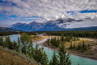 Devastating wildfires in Canada and global forest loss in 2023