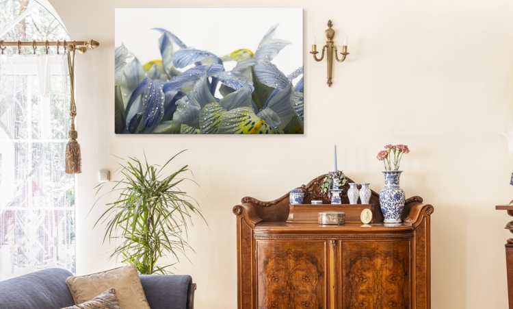 Bild mit Orchidee – frischen Sie Ihr Interieur auf
